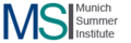 Munich Summer Institute (MSI)