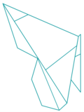 Logo of the cluster of excellence TransforM, showing an abstracted butterfly.