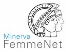 Minerva Femme Net