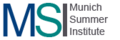MSI Munich Summer Institute MSI Munich Summer Institute