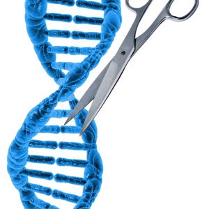 Symbolische Darstellung DNA mit Schere